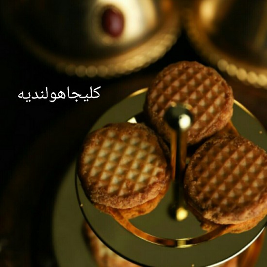 كليجا هولندي سالي